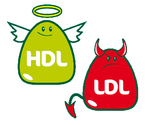colesterol-hdl-ldl