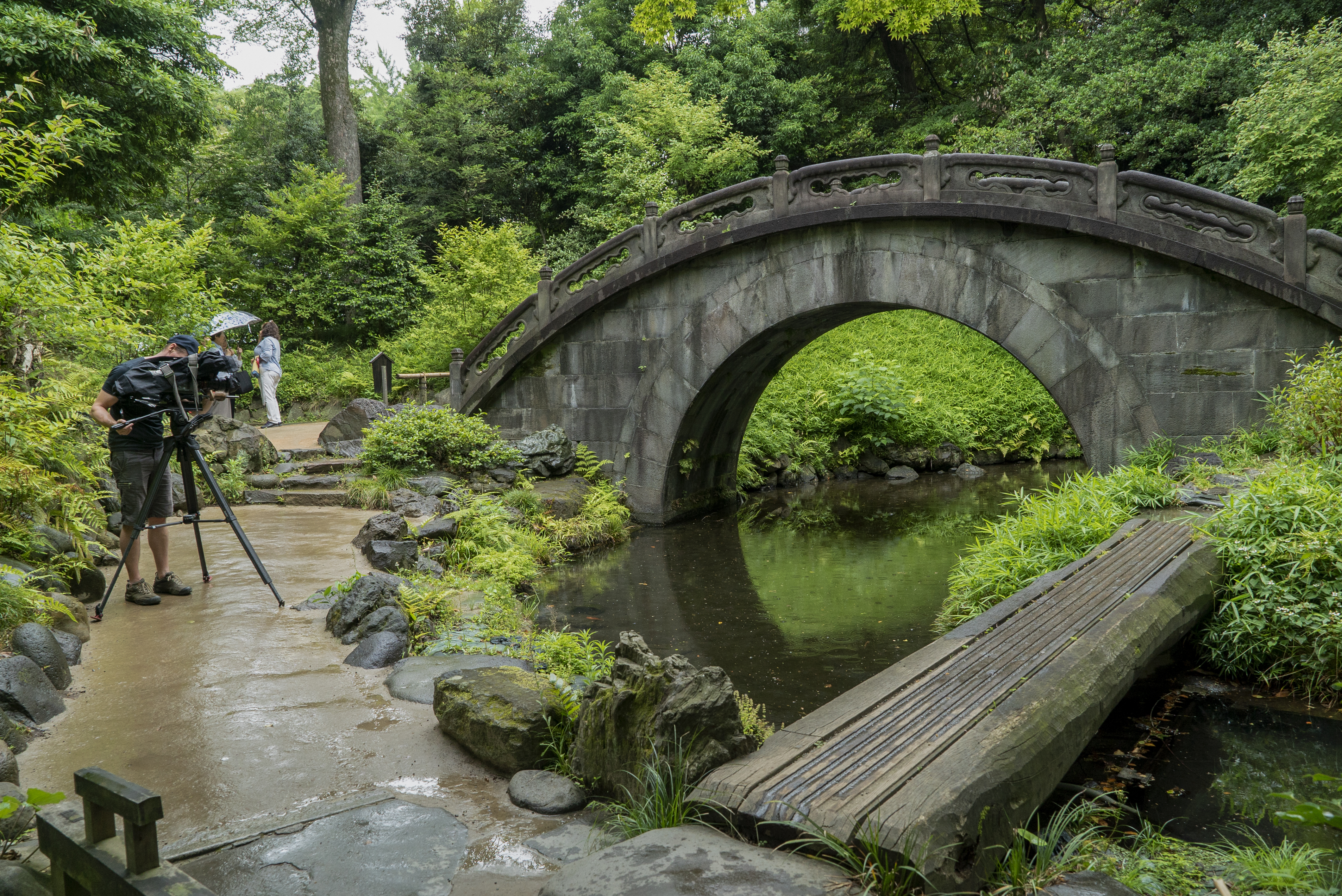 Koishikawa Kourakuen park, Van Gogh & Japan ┬® EXHIBITION ON SCREEN (David Bickerstaff)