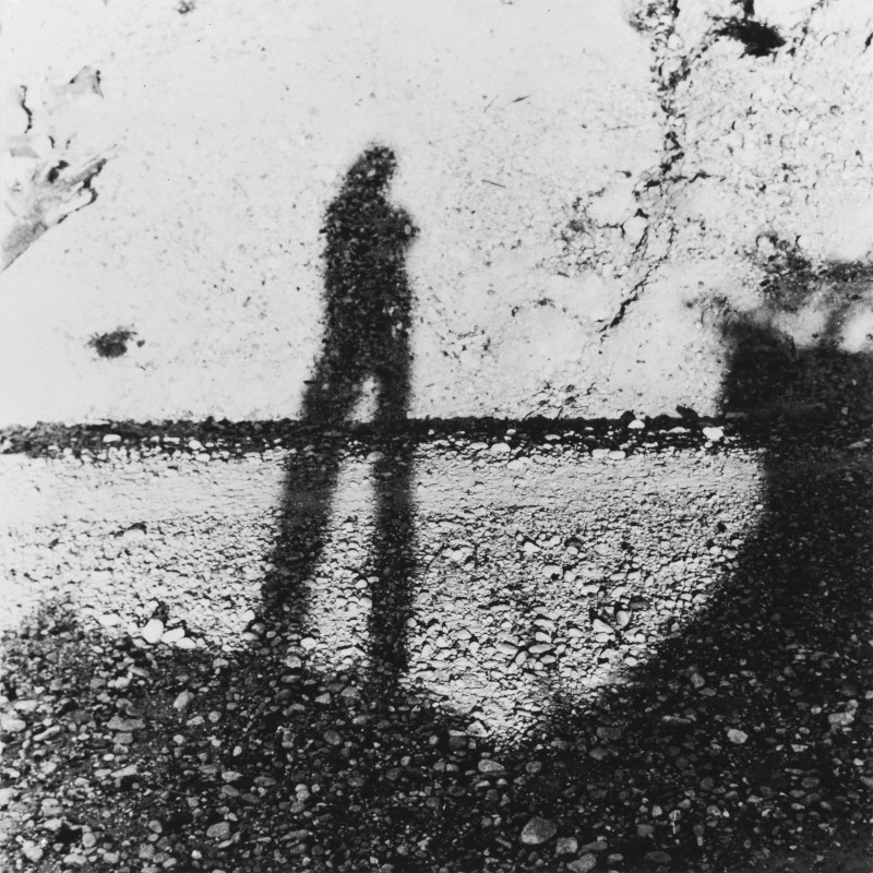 Ritratto dell’artista come ombra sul muro, 1957-1975